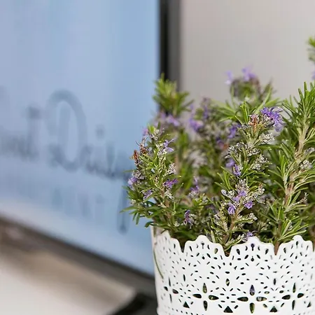 아파트 Sweet Daisy With Parking *