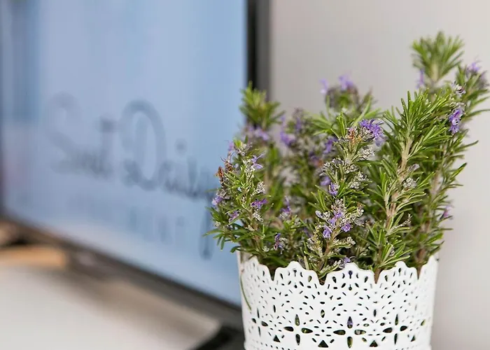 아파트 Sweet Daisy With Parking *