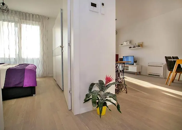 Sweet Daisy With Parking