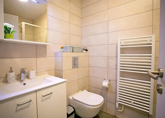 Sweet Daisy With Parking * Zára